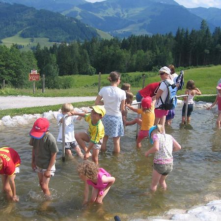 Haus Sommerstein Maria Alm am Steinernen Meer Dış mekan fotoğraf