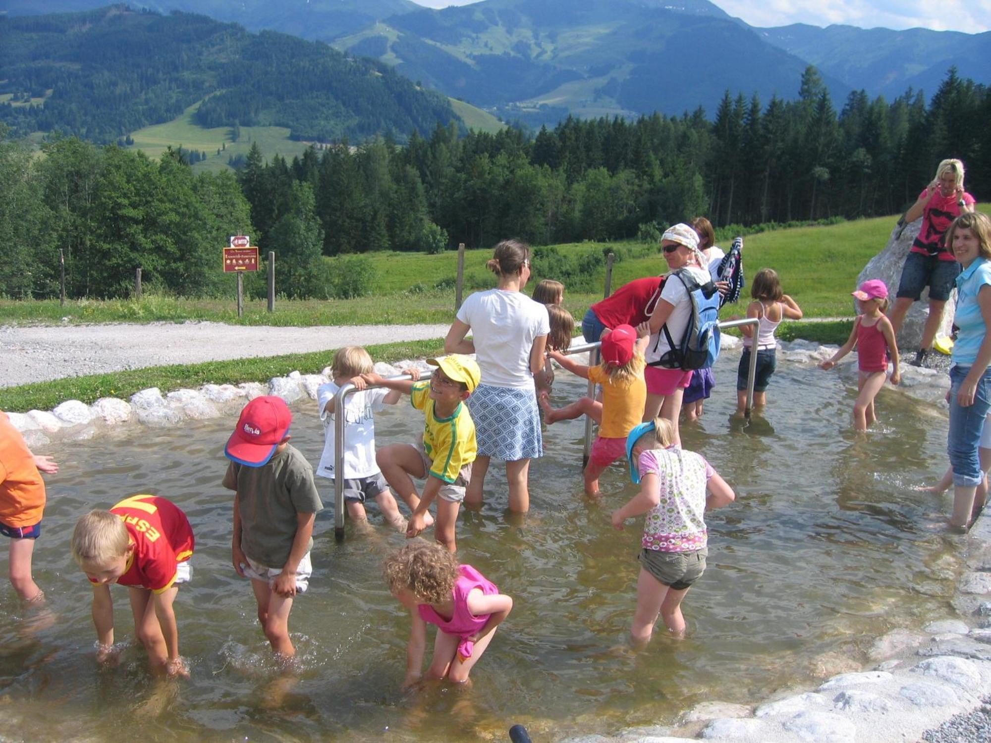 Haus Sommerstein Maria Alm am Steinernen Meer Dış mekan fotoğraf