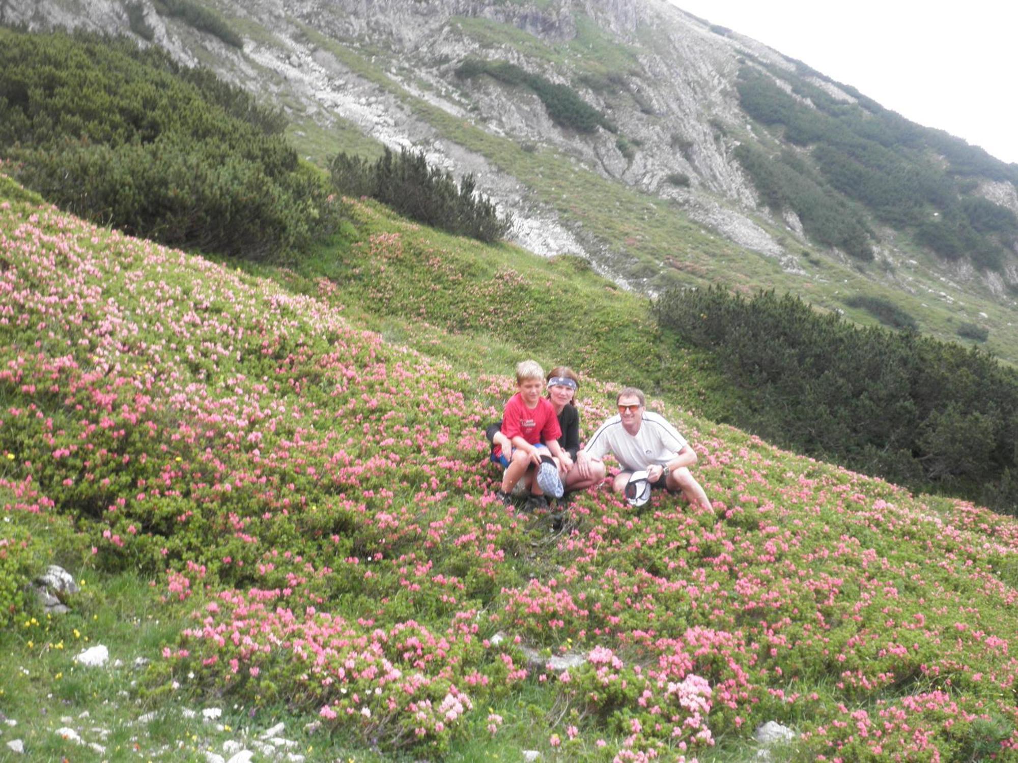 Haus Sommerstein Maria Alm am Steinernen Meer Dış mekan fotoğraf