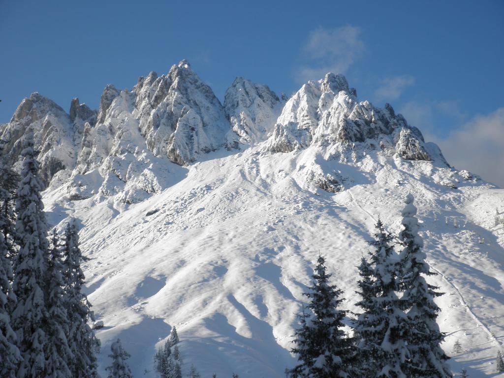 Haus Sommerstein Maria Alm am Steinernen Meer Dış mekan fotoğraf